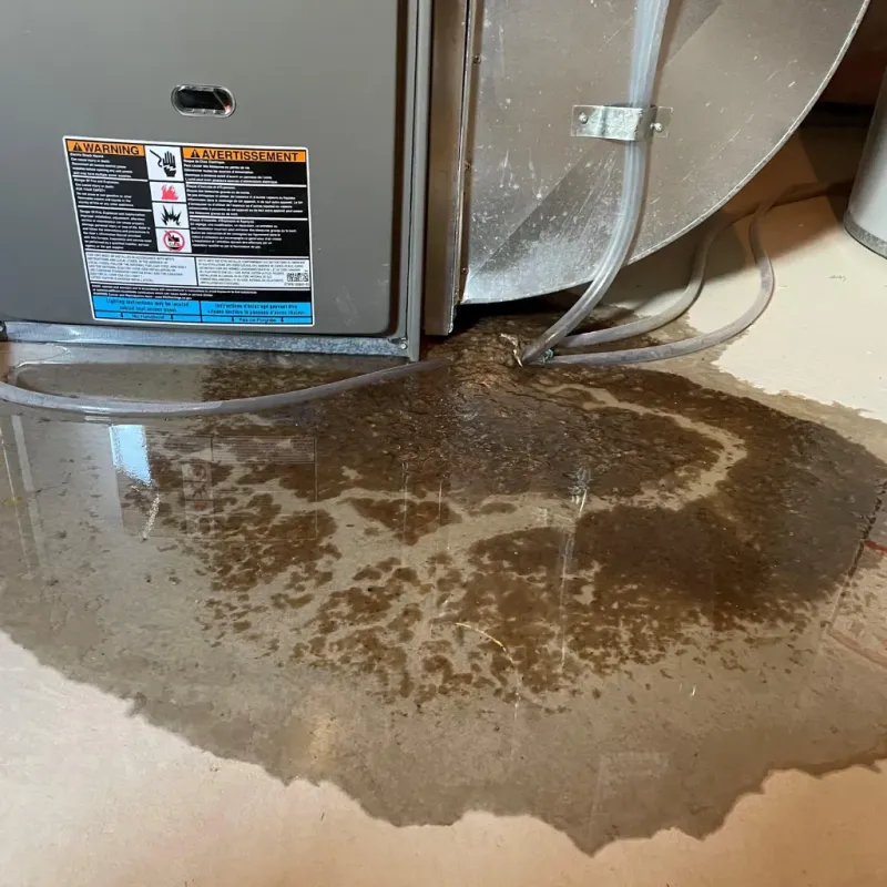 Appliance Leak Cleanup in Russellville, KY