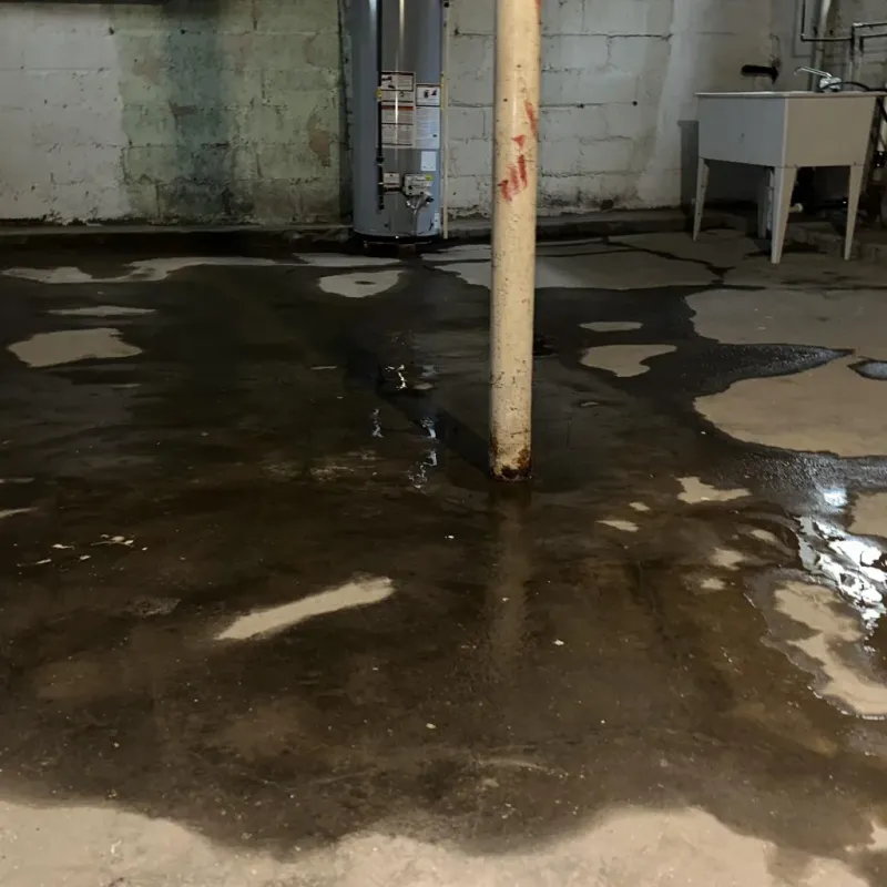 Emergency Water Extraction And Removal in Russellville, KY